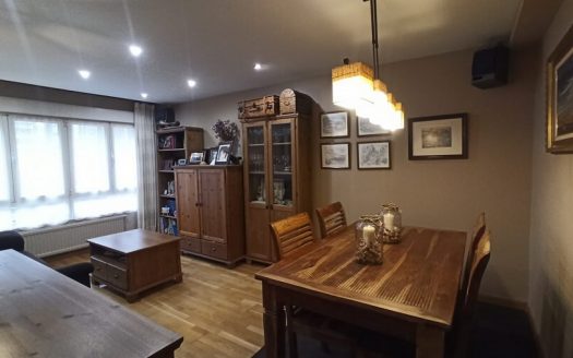 位于希洪市中心的公寓