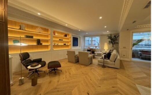 马德里典雅市中心：华丽公寓