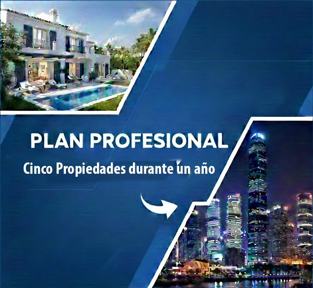 Plan Profesional - 5 propiedades (1 año)
